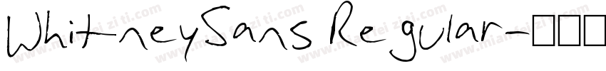 WhitneySans Regular字体转换